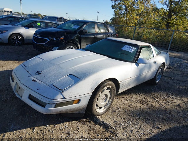 46280063 :رقم المزاد ، 1G1YY2382M5102104 vin ، 1991 Chevrolet Corvette مزاد بيع