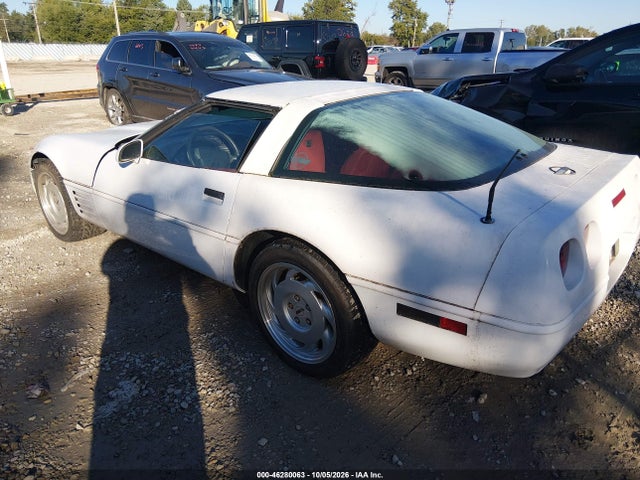 46280063 :رقم المزاد ، 1G1YY2382M5102104 vin ، 1991 Chevrolet Corvette مزاد بيع
