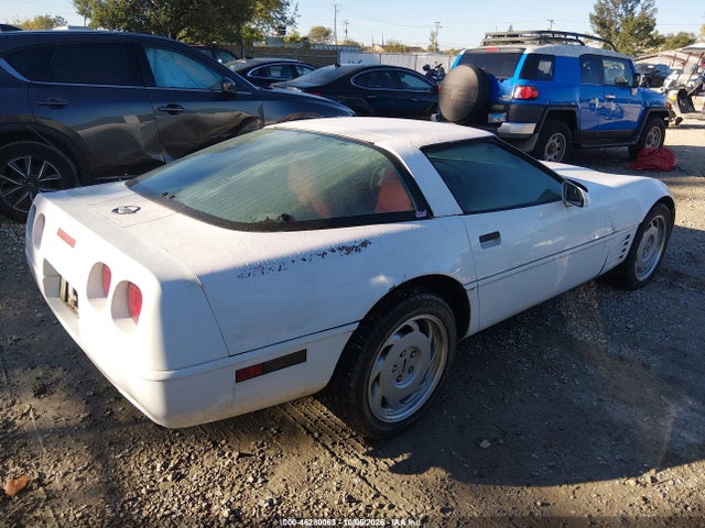 46280063 :رقم المزاد ، 1G1YY2382M5102104 vin ، 1991 Chevrolet Corvette مزاد بيع