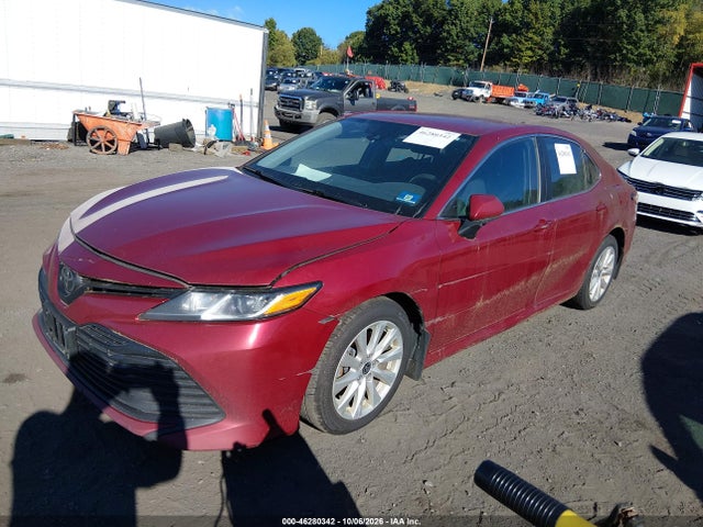 46280342 :رقم المزاد ، 4T1C11AKXLU972181 vin ، 2020 Toyota Camry Le مزاد بيع
