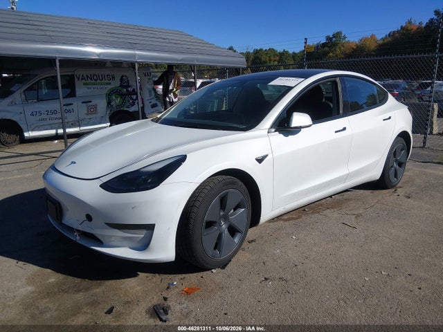 Tesla Model 3 Rear-wheel Drive 2023 5YJ3E1EA2PF508469 Image 2