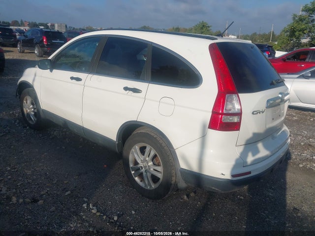 Продажа на аукционе авто 2010 Honda Cr-v Ex, vin: 5J6RE4H51AL067202, номер лота: 46282215