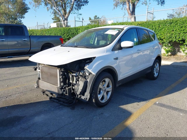 Ford ESCAPE SE 2014 1FMCU0GX9EUA63601 Image 2