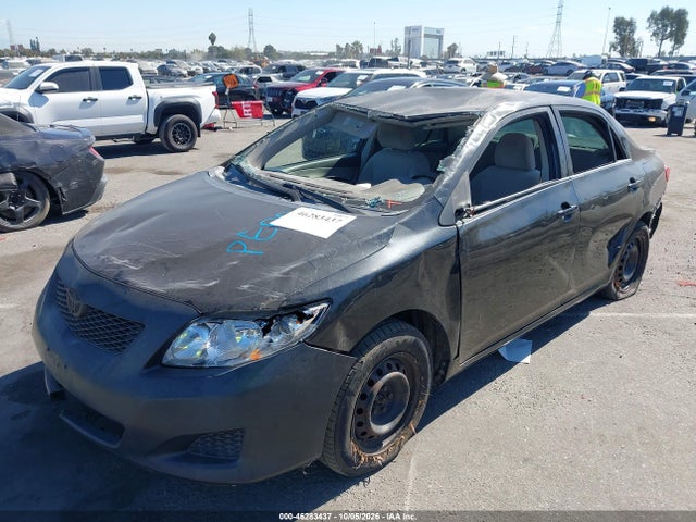 46283437 :رقم المزاد ، JTDBU4EE6A9111450 vin ، 2010 Toyota Corolla Le مزاد بيع