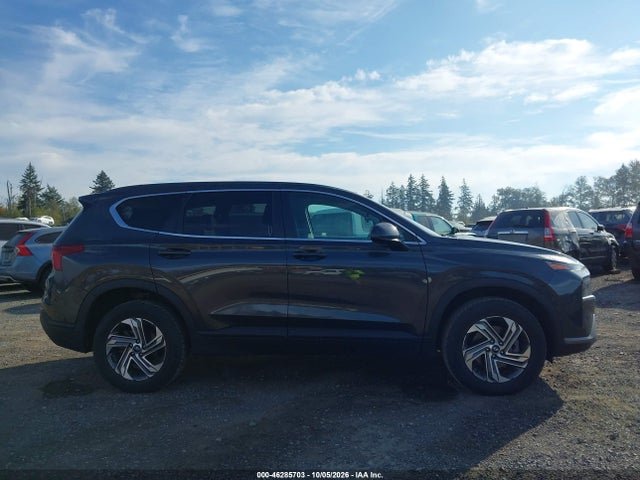 5NMS1DAJXMH356983 Hyundai Santa Fe Se