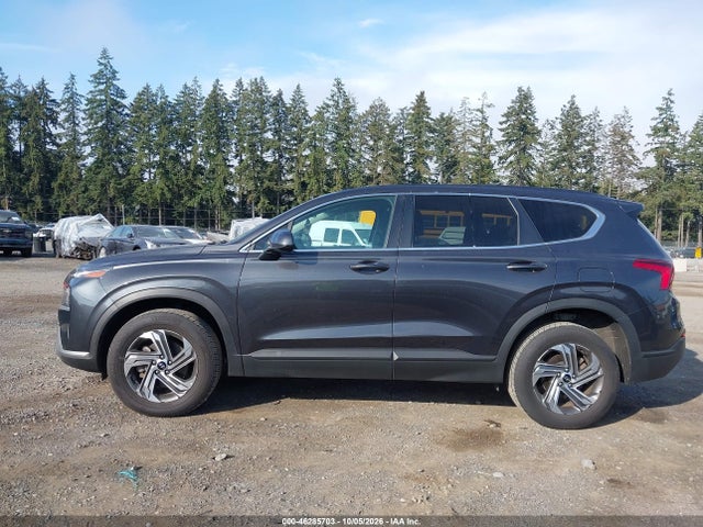 5NMS1DAJXMH356983 Hyundai Santa Fe Se