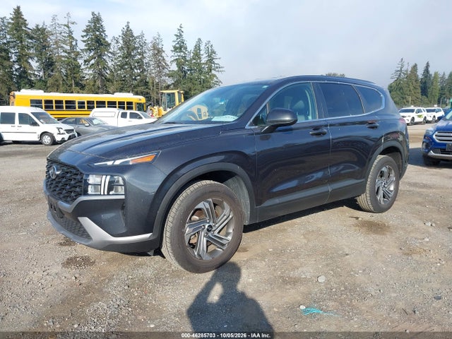 5NMS1DAJXMH356983 Hyundai Santa Fe Se