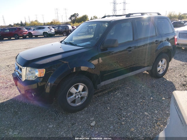 Продажа на аукционе авто 2009 Ford Escape Xlt, vin: 1FMCU03789KB20684, номер лота: 46287358