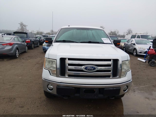 Aukcja sprzedaży 2010 Ford F-150 Stx/xl/xlt, vin: 1FTEX1E80AFD76279, numer aukcji: 46287490