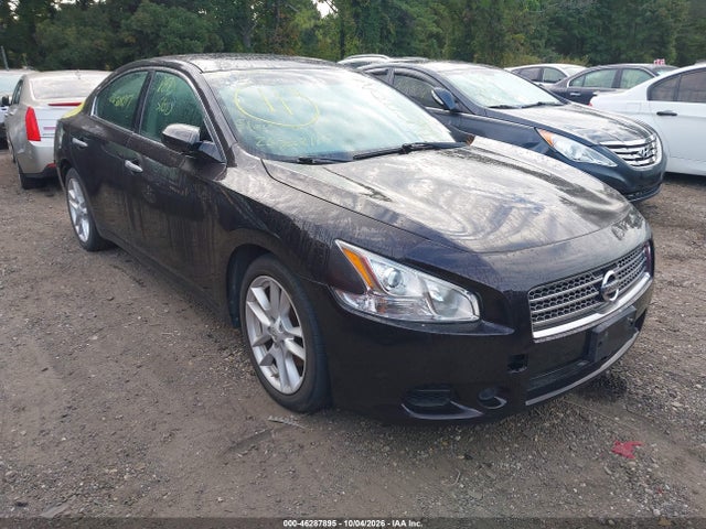 Продаж на аукціоні авто 2010 Nissan Maxima 3.5 S, vin: 1N4AA5AP7AC860963, номер лоту: 46287895