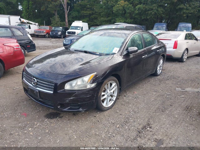 2010 Nissan Maxima 3.5 S მანქანა იყიდება აუქციონზე, vin: 1N4AA5AP7AC860963, აუქციონის ნომერი: 46287895