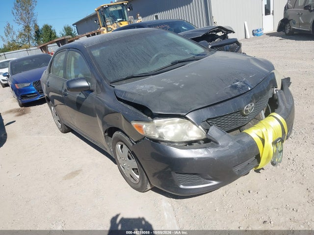 2010 Toyota Corolla Le მანქანა იყიდება აუქციონზე, vin: 2T1BU4EE6AC338681, აუქციონის ნომერი: 46288088