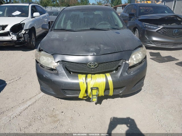2010 Toyota Corolla Le მანქანა იყიდება აუქციონზე, vin: 2T1BU4EE6AC338681, აუქციონის ნომერი: 46288088