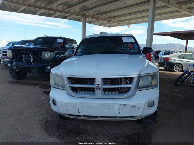 46288126 :رقم المزاد ، 1D7RE3BK6AS237175 vin ، 2010 Dodge Dakota Bighorn/lonestar مزاد بيع