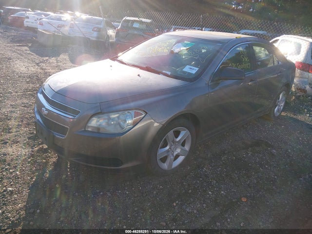 46288291 :رقم المزاد ، 1G1ZA5E02AF286497 vin ، 2010 Chevrolet Malibu Ls مزاد بيع