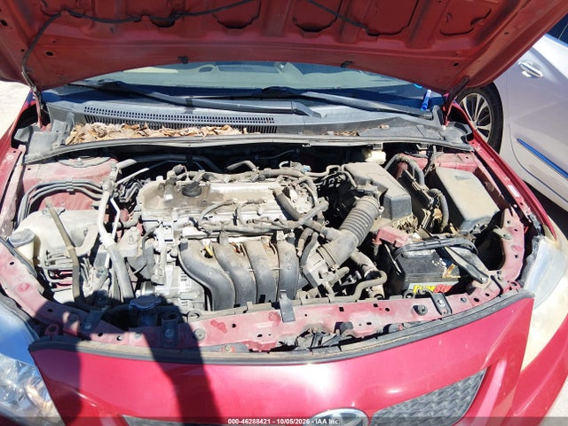 Auction sale of the 2009 Toyota Corolla Xle, vin: 1NXBU40E09Z101623, lot number: 46288421