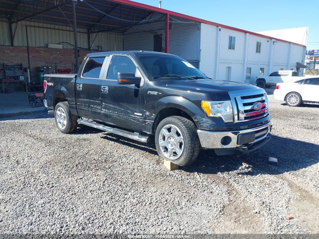 2013 Ford F-150 Xlt მანქანა იყიდება აუქციონზე, vin: 1FTFW1ET7DKG16449, აუქციონის ნომერი: 46290351