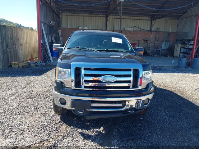 2013 Ford F-150 Xlt მანქანა იყიდება აუქციონზე, vin: 1FTFW1ET7DKG16449, აუქციონის ნომერი: 46290351