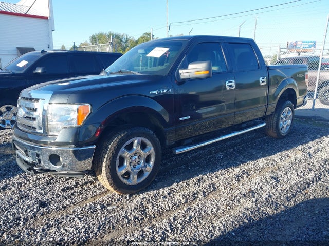 2013 Ford F-150 Xlt მანქანა იყიდება აუქციონზე, vin: 1FTFW1ET7DKG16449, აუქციონის ნომერი: 46290351