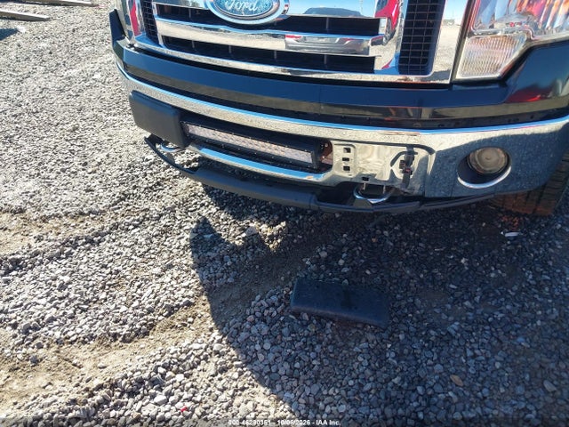 2013 Ford F-150 Xlt მანქანა იყიდება აუქციონზე, vin: 1FTFW1ET7DKG16449, აუქციონის ნომერი: 46290351