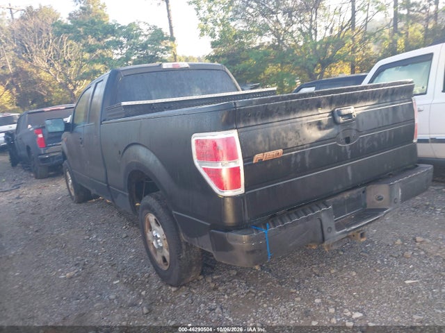 46290504 :رقم المزاد ، 1FTEX1CM9EKG53301 vin ، 2014 Ford F-150 Xlt مزاد بيع