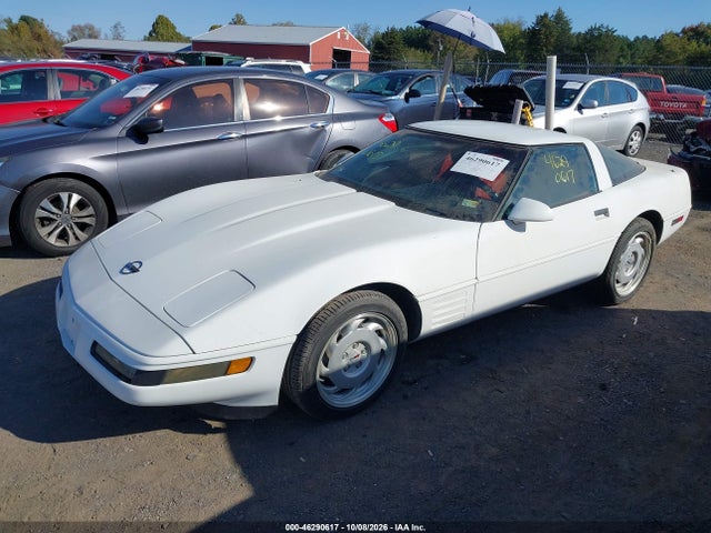 1992 Chevrolet Corvette მანქანა იყიდება აუქციონზე, vin: 1G1YY23P8N5102360, აუქციონის ნომერი: 46290617