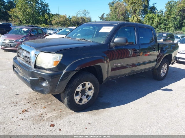46291465 :رقم المزاد ، 3TMLU42N59M031434 vin ، 2009 Toyota Tacoma Base V6 مزاد بيع