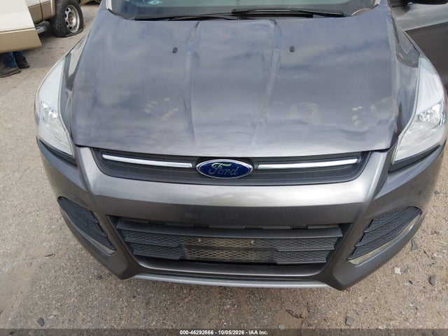 Продаж на аукціоні авто 2014 Ford Escape Se, vin: 1FMCU0GX8EUA37782, номер лоту: 46292666