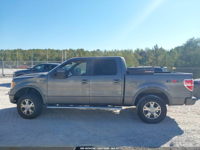 46294265 :رقم المزاد ، 1FTFW1EVXAFD60717 vin ، 2010 Ford F-150 Fx4/harley-davidson/king Ranch/lariat/platinum/xl/xlt مزاد بيع