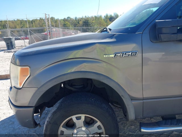 46294265 :رقم المزاد ، 1FTFW1EVXAFD60717 vin ، 2010 Ford F-150 Fx4/harley-davidson/king Ranch/lariat/platinum/xl/xlt مزاد بيع