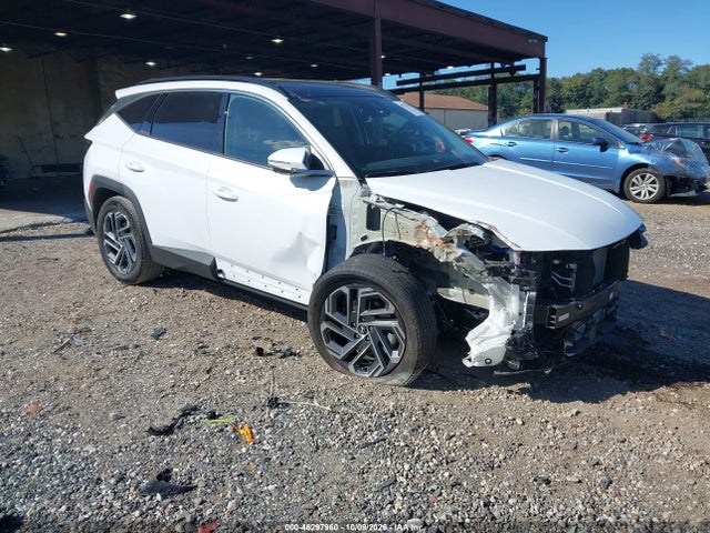46297960 :رقم المزاد ، KM8JEDD15SU250065 vin ، 2025 Hyundai Tucson Hybrid Limited مزاد بيع