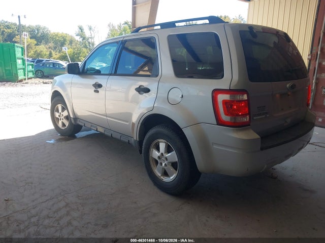 46301468 :رقم المزاد ، 1FMCU0D76BKB35057 vin ، 2011 Ford Escape Xlt مزاد بيع