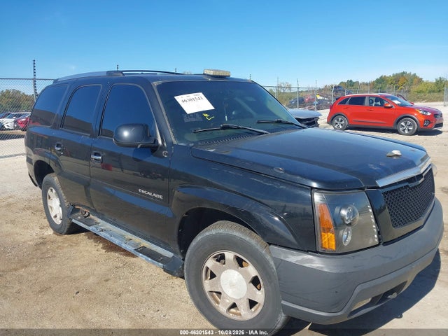 Продаж на аукціоні авто 2002 Cadillac Escalade Standard, vin: 1GYEK63N52R100209, номер лоту: 46301543