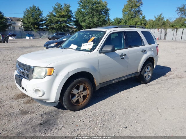 46302868 :رقم المزاد ، 1FMCU0D73BKA18732 vin ، 2011 Ford Escape Xlt مزاد بيع