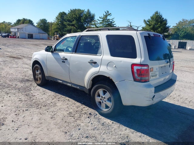 46302868 :رقم المزاد ، 1FMCU0D73BKA18732 vin ، 2011 Ford Escape Xlt مزاد بيع