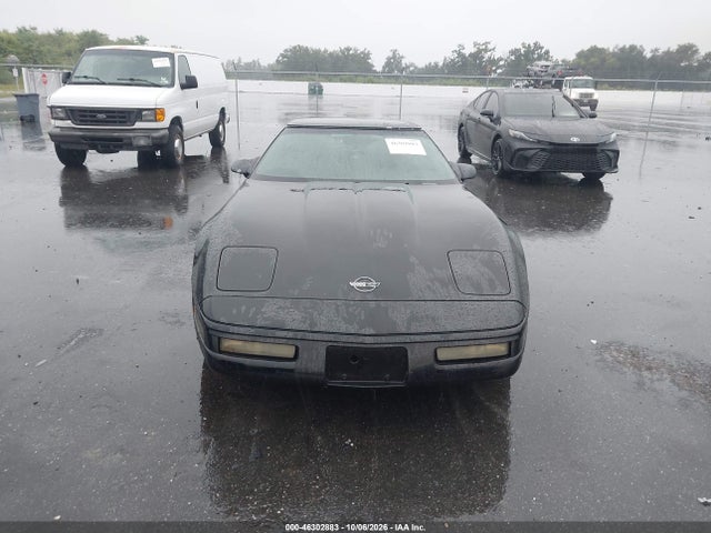 Aukcja sprzedaży 1994 Chevrolet Corvette, vin: 1G1YY22PXR5111066, numer aukcji: 46302883