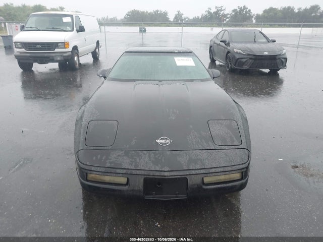 Aukcja sprzedaży 1994 Chevrolet Corvette, vin: 1G1YY22PXR5111066, numer aukcji: 46302883