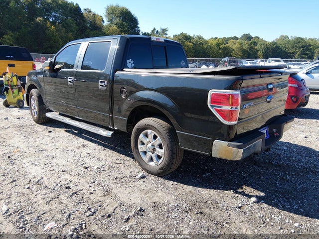 Ford F-150 Xlt 2014 1FTFW1CFXEKG41585 Image 3
