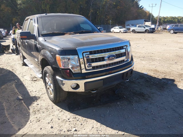 46303554 :رقم المزاد ، 1FTFW1ETXDFA84221 vin ، 2013 Ford F-150 Xlt مزاد بيع