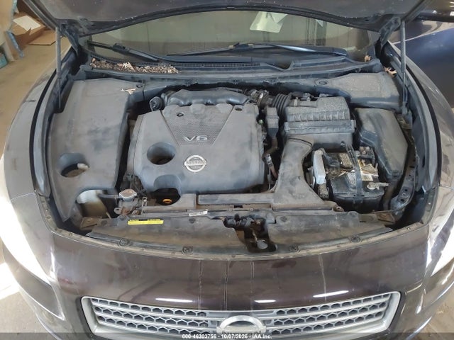 Aukcja sprzedaży 2010 Nissan Maxima 3.5 Sv, vin: 1N4AA5AP5AC834880, numer aukcji: 46303756