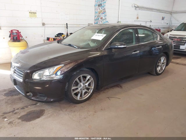 Aukcja sprzedaży 2010 Nissan Maxima 3.5 Sv, vin: 1N4AA5AP5AC834880, numer aukcji: 46303756
