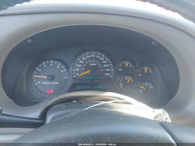 2002 Chevrolet Trailblazer Lt მანქანა იყიდება აუქციონზე, vin: 1GNDS13S022275199, აუქციონის ნომერი: 46303975