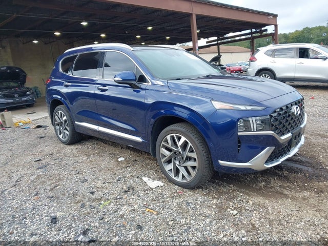 Продажа на аукционе авто 2023 Hyundai Santa Fe Calligraphy, vin: 5NMS5DAL6PH564319, номер лота: 46307935