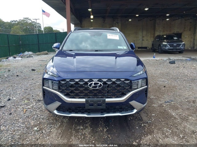 Продажа на аукционе авто 2023 Hyundai Santa Fe Calligraphy, vin: 5NMS5DAL6PH564319, номер лота: 46307935