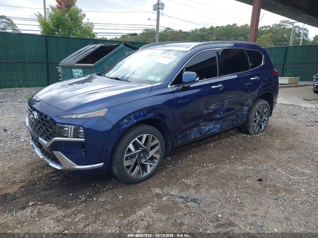 Продажа на аукционе авто 2023 Hyundai Santa Fe Calligraphy, vin: 5NMS5DAL6PH564319, номер лота: 46307935