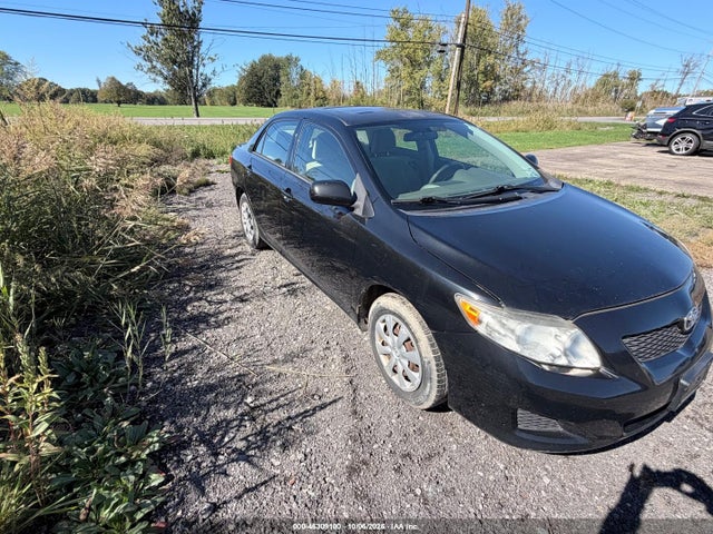 46309100 :رقم المزاد ، 2T1BU40E49C137428 vin ، 2009 Toyota Corolla Le مزاد بيع