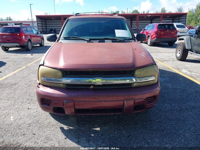 2004 Chevrolet Trailblazer Ls მანქანა იყიდება აუქციონზე, vin: 1GNDS13S242281752, აუქციონის ნომერი: 46310617