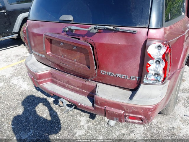 2004 Chevrolet Trailblazer Ls მანქანა იყიდება აუქციონზე, vin: 1GNDS13S242281752, აუქციონის ნომერი: 46310617