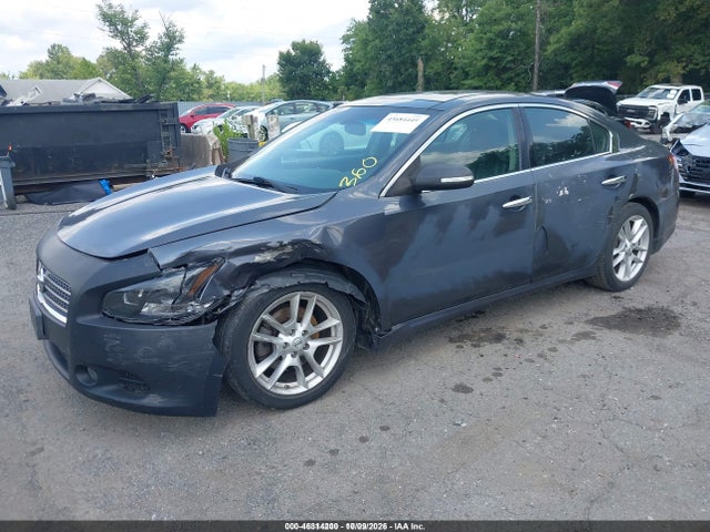2011 Nissan Maxima 3.5 Sv მანქანა იყიდება აუქციონზე, vin: 1N4AA5AP1BC836112, აუქციონის ნომერი: 46314200