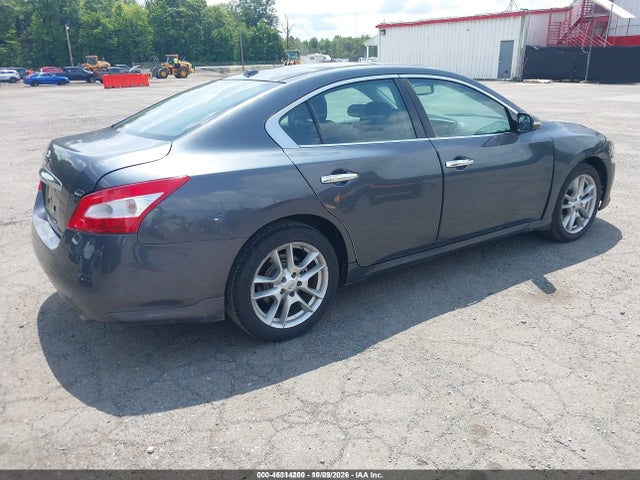 2011 Nissan Maxima 3.5 Sv მანქანა იყიდება აუქციონზე, vin: 1N4AA5AP1BC836112, აუქციონის ნომერი: 46314200
